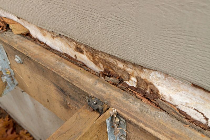 Exterior Woodwork Repair