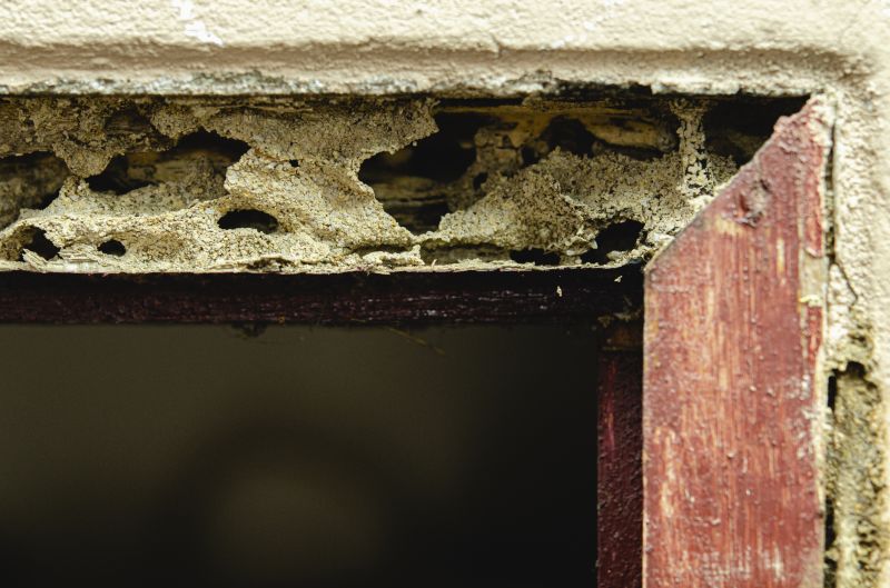 Exterior Woodwork Repair